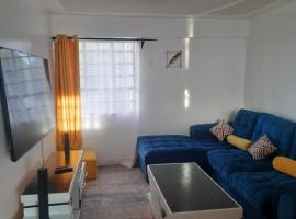 Lymak 2 bedroom airbnb, apartment in Ngong