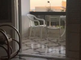 الميرغني مصر الجديده