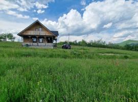 Casa bunicilor din Oncești, cabaña o casa de campo en Onceşti