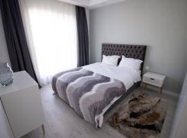 2 Rooms B 602 StayInn by Cosmopolis, hotel with parking in Creţuleasca