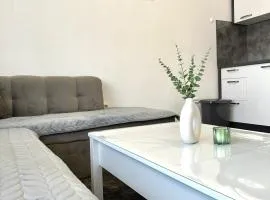 Apartman Lara Laktasi