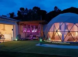 Le Clos FMR Insolite Manon Carcassonne