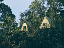 Coorgology - The estate stay