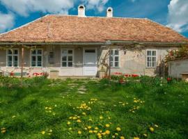 Gästehaus Fogarasch, vandrerhjem i Făgăraş