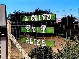L'ulivo di Alice