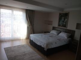 Queen Apartment، شقة في عمّان