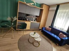 Milan Luxury Apartaments-Maurer Residence Târgu Mureș
