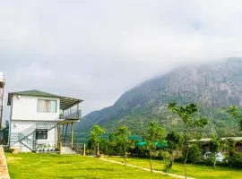 Stone Hills
