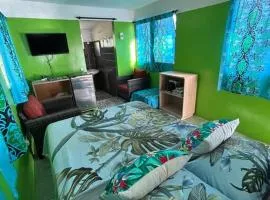 LM Houses 2