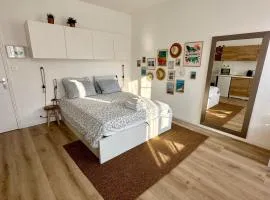 Royal Studio Massena