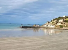 Résidence Regates - Bel appartement 43m² sur la digue du Val André, pleine vue mer, accès direct plage MAE-0061