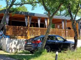 Mobile home 249 - Large Terrace & Private Jacuzzi