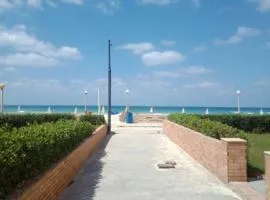 شاليه العائلة