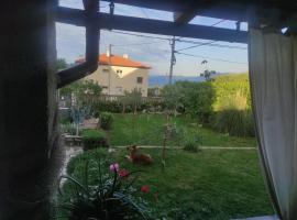 Zoran Vukusic Apartment