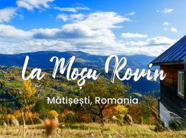 La mosu Rovin, holiday home in Borta