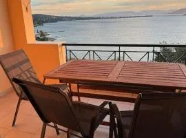 Appartement avec vue