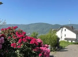 Ferienwohnung Rhein-Panorama