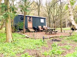 North Norfolk Glamping, hotel in Holt