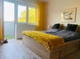 45m2 Buda hillside with panorama!