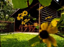 Pensiunea Namaesti, chal&eacute; em Nămăeşti