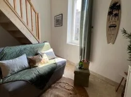 Duplex a 2 pas de la vielle ville d Avignon
