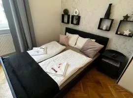 Spring Roses Downtown Boutique Hotel 2 ON THE FAMOUS VÁCI FASHION STREET FREE COFFEE, TEE