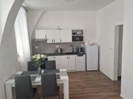 Apartmán Anežka -1-