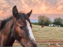 Casa De Campo, hotel i Villa Dolores