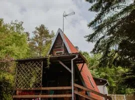 Domek nad Jeziorem Parzeńskim