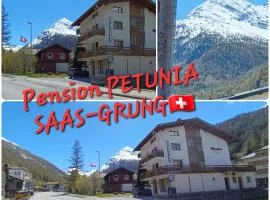 Chalet Petunia In Swiss Alps