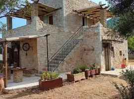 villa bilimots