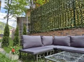 Mountain View with Terrace