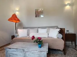 Mid century character house in Argostoli
