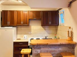 Apartman Olivera, serviced apartment in Žabljak