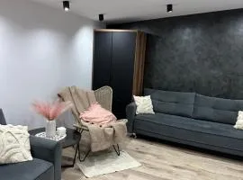 LUX HOUSE Roztocze 2 Sauna i Bania z hydromasażem