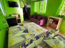 Tiny house et un vélo à assistance électrique (VAE)