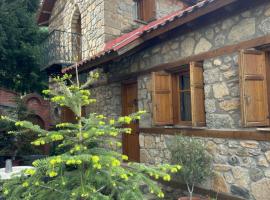 Urban River House, villa in Florina