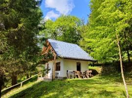 Chatka Pod Trohańcem, landhuis in Lutowiska