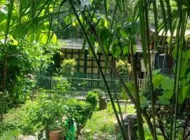 Gardens in Vake, Tbilisi