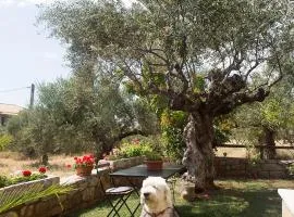 Small paradise in Saint Nicolas Village !