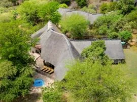 Meerkat Manor @ Zebula