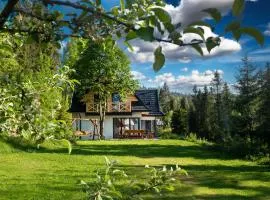 Jankówki - Dom w górach