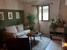 Spacious room in Montpellier City Center