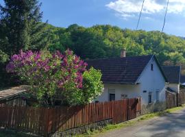 Mókusles Vendégház, apartment in Háromhuta