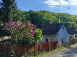 Mókusles Vendégház