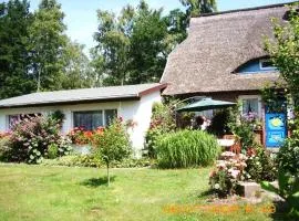 Ferienwohnung "Kleine Deichperle"