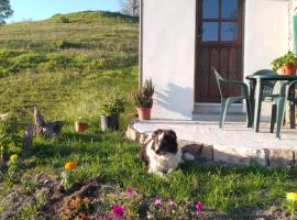 Casa El Collau I, hotel económico en La Frecha