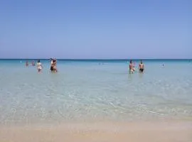 Casa vacanza Flamingo