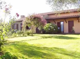 Montecasciano - Mimosa