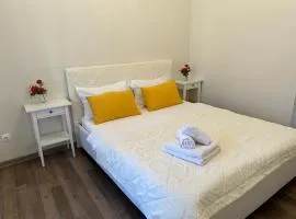 Business class Apartments in city center